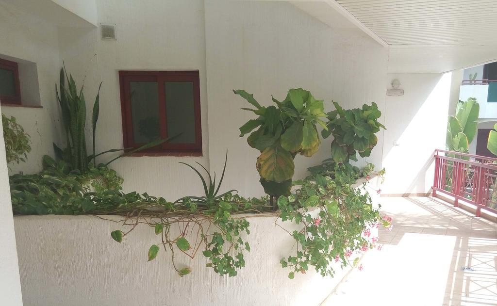 C101 Los Balandros Palm-mar Ngoại thất bức ảnh